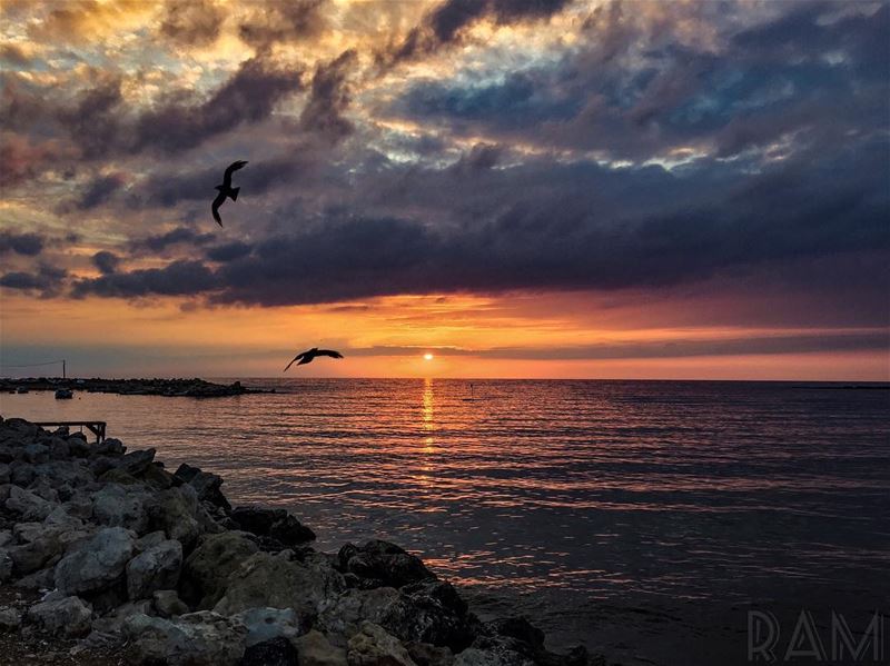 Je lui dirai les mots bleus.. les mots qu'on dit avec les yeux.. Parler me... (Corniche El Mina Tripoli)