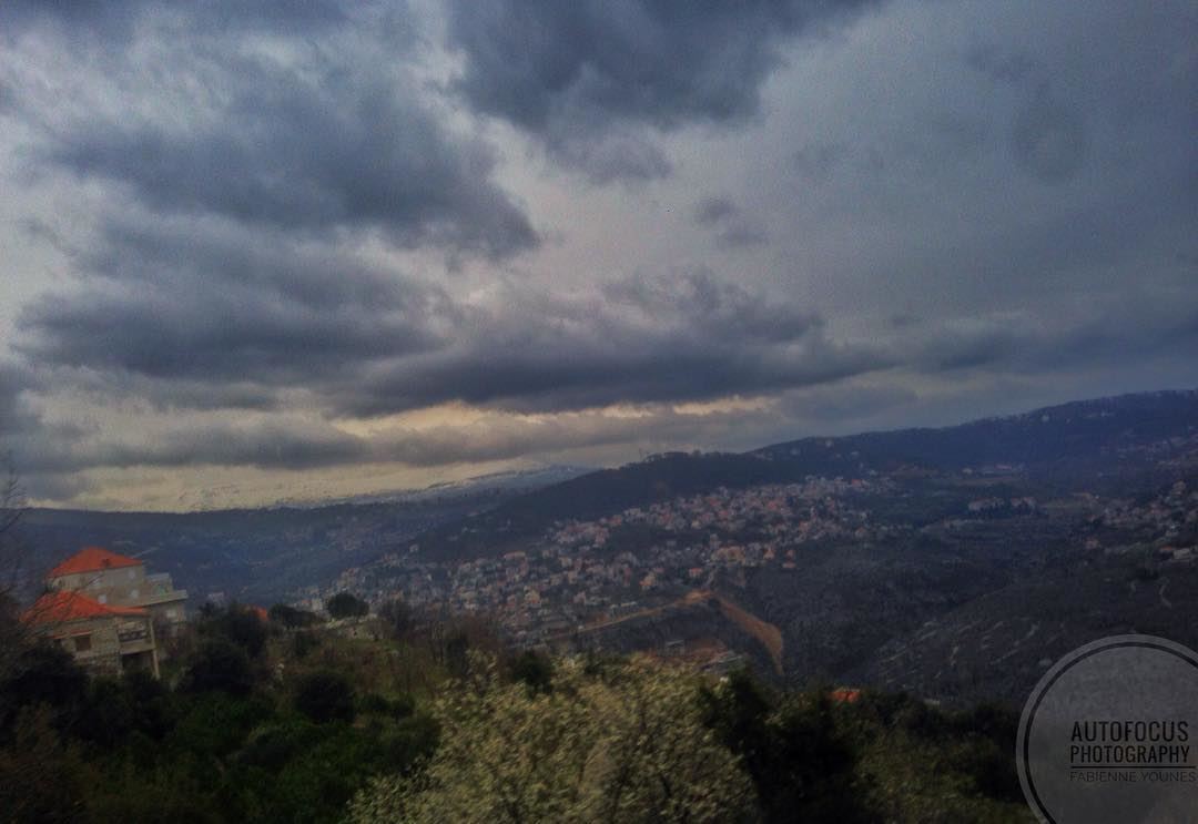 JE N'AVANCE PAS VITE MAIS JE NE RECULE JAMAIS ~A.L~  autofocus ... (Zabbugha, Mont-Liban, Lebanon)