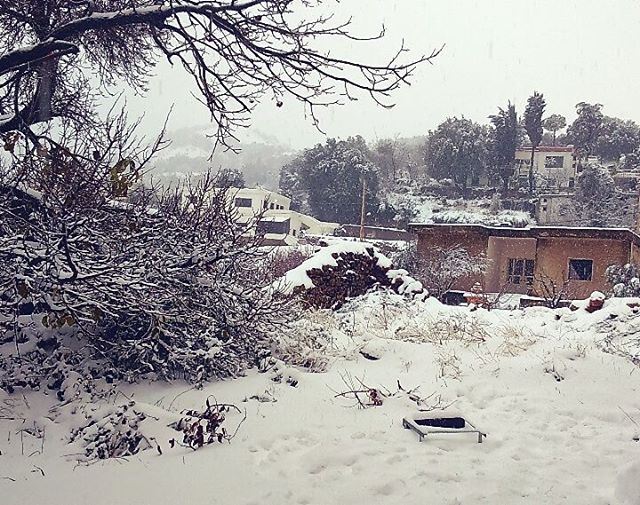 Je vous souhaite une année blanche ⛄⛅☔ whitenewyear  happynewyear2016 ... (Aïn Zebdé, Béqaa, Lebanon)