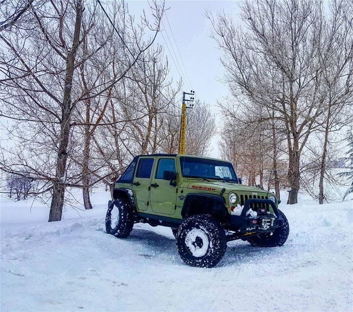  jeep wrangler  jeepwrangler  wranglers  in_the_storm freezing...