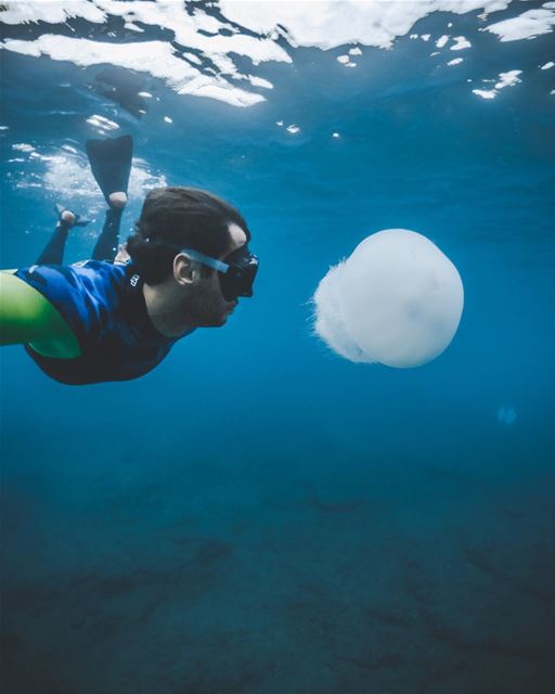 Jellyfish encounter in February, who would have thought.Photo taken with @ (Batroûn)