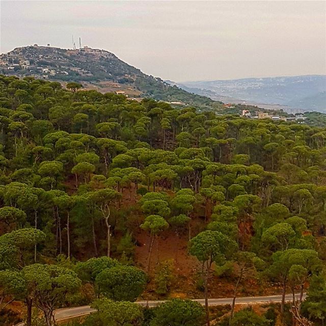  jezzinelove  amazingview  naturephotography  beautifulcountry ... (جنة الصنوبر)