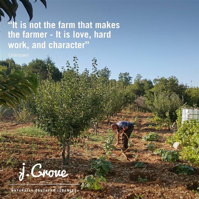 👨🏾‍🌾💚 jGrove  Quote  HardWork  Farmer  Love  Life  Care  Work ...