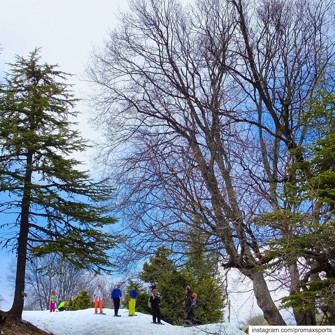 Join ProMax this Sun, Jan 20 to Ehden Reserve Snowshoeing. Reservations 👉... (Horsh Ehden)