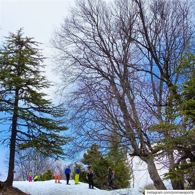 Join ProMax this Sun, Jan 20 to Ehden Reserve Snowshoeing. Reservations 👉... (Horsh Ehden)