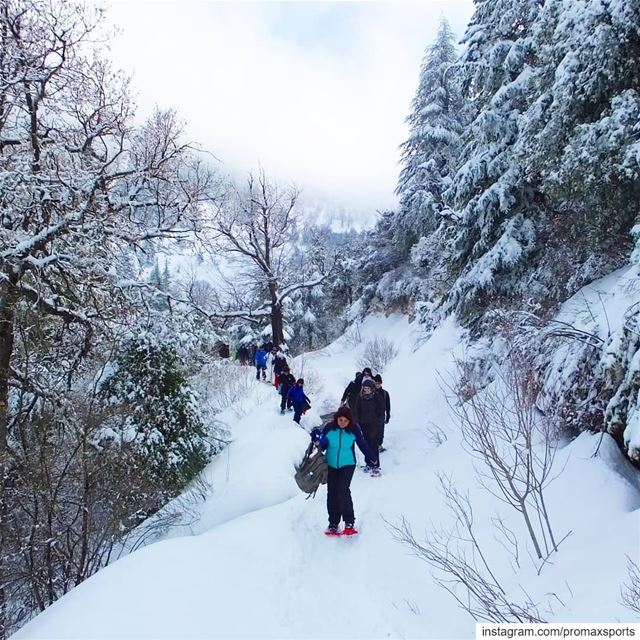 Join ProMax this Sun, Jan 20 to Ehden Reserve Snowshoeing.Info WhatsApp... (Ehden, Lebanon)