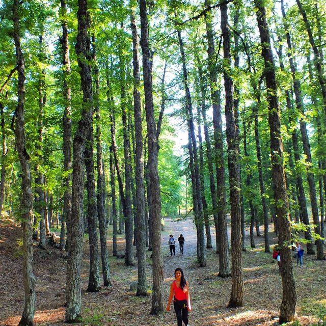 Join ProMax this Sunday, July 22 to Qammouaa Hike. RSVP. +9613955642.🌲🌲 (El Qammoûaa)