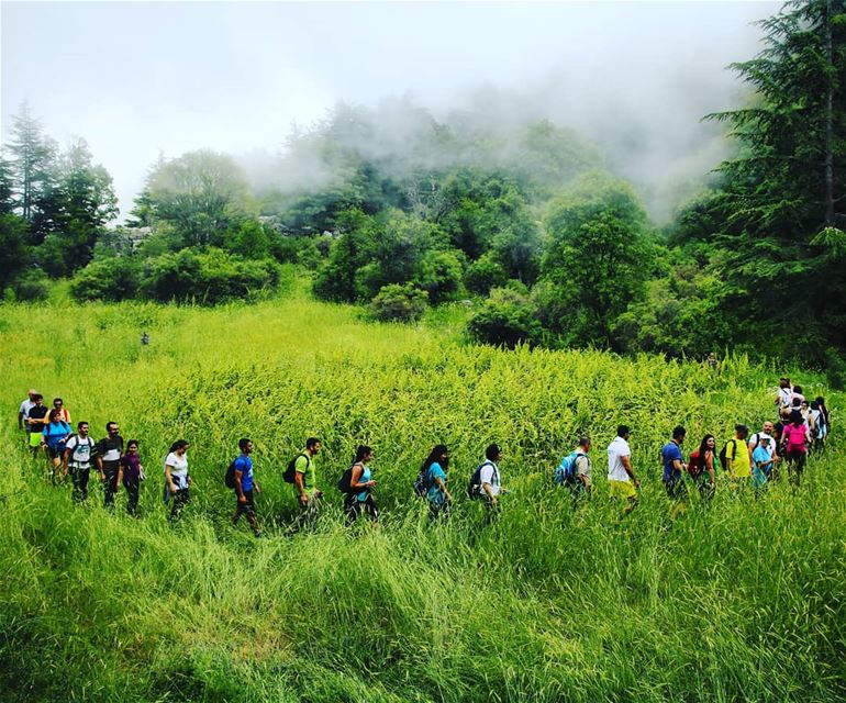 Join ProMax this Sunday, September 02 to an exceptional hike to Ehden... (Horsh Ehden)