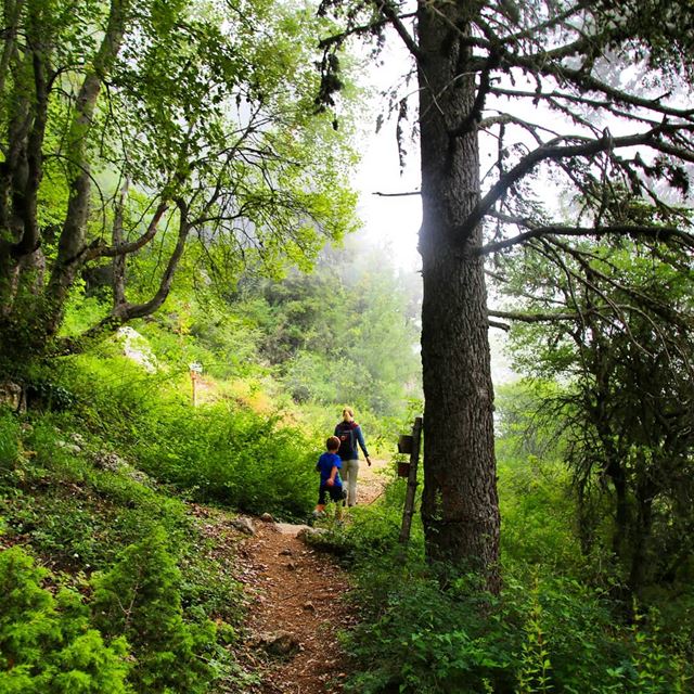 Join ProMax this Sunday, September 02 to an exceptional hike to Ehden...