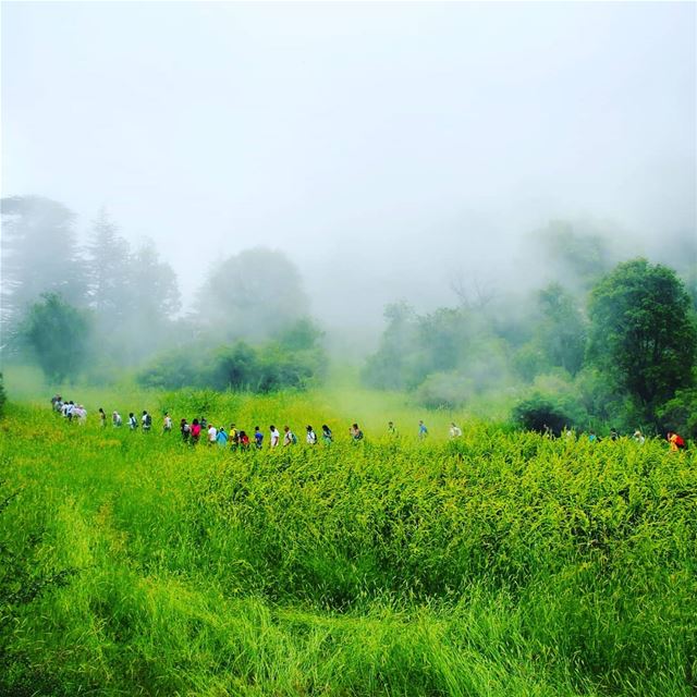 Join ProMax this Sunday, September 02 to an exceptional hike to Ehden... (Ehden, Lebanon)