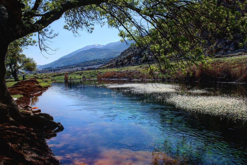 Join us tomorrow  Sunday 8 of April for a breathtaking Hike in Ammiq..... (Lebanon)