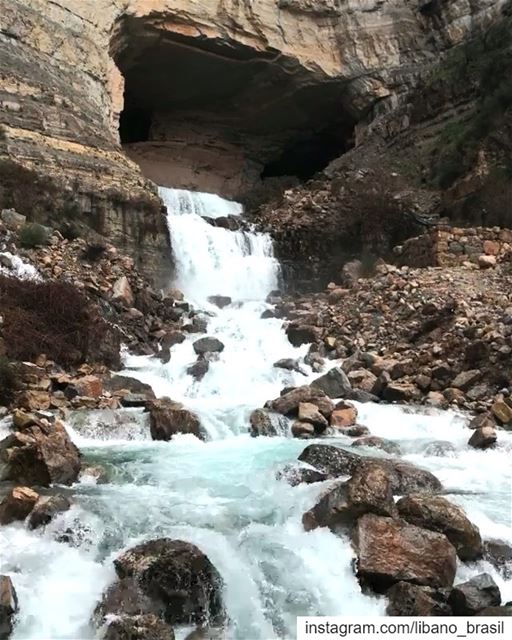 🇱🇧🇧🇷 Jorrando de uma caverna de calcário na parede do penhasco, as... (Afka, Mont-Liban, Lebanon)