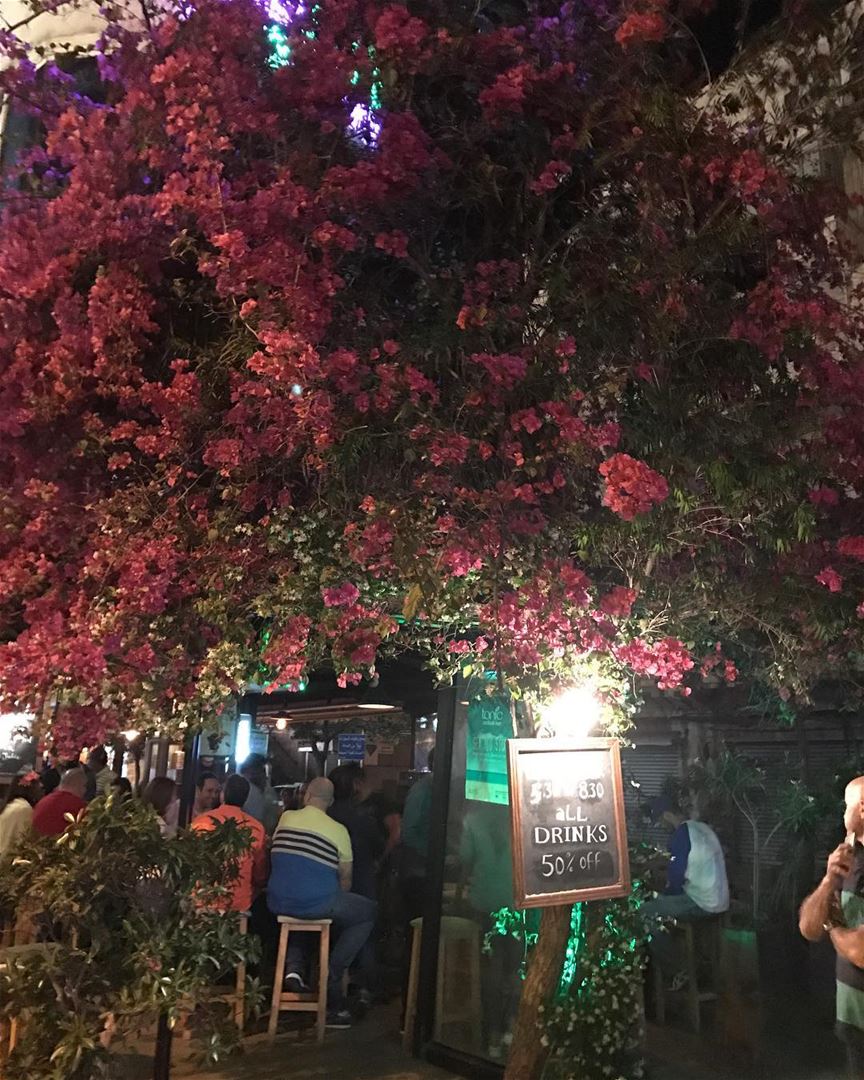 Jounié night life... just as good as Beirut's! 🍸  PubStreet  Jounié ... (Joünié)
