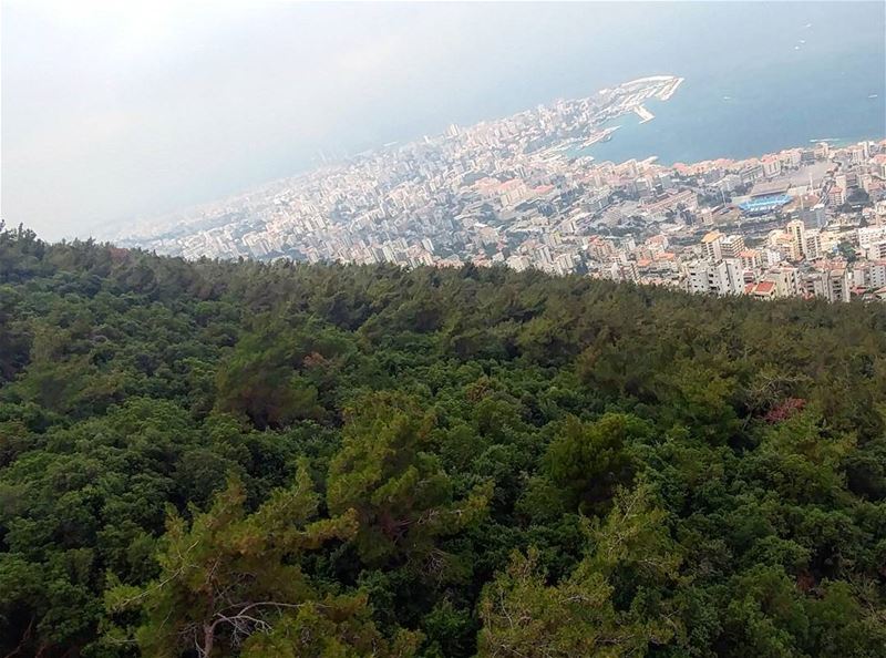 💫  Jounieh ____________________________ livelovejounieh  instaamici ... (جونية - Jounieh)