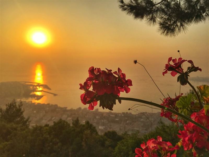 Jounieh bay