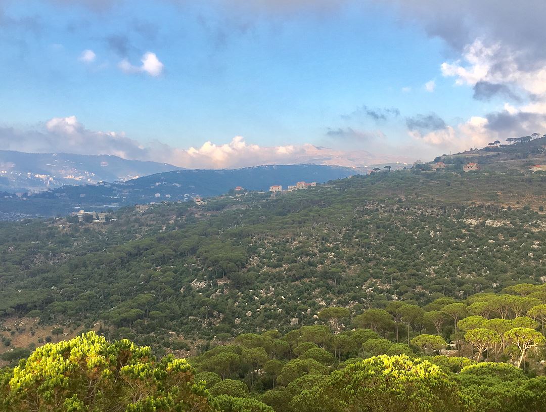 July colors 🍃☘️ July  nature  beauty  lebanon  summer  afternoon ... (Ra'S Al Matn, Mont-Liban, Lebanon)