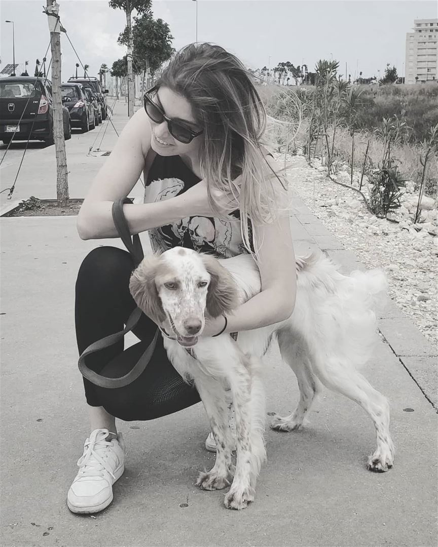 •June the doggo• rescuedog  rescuedogsofinstagram  adoptdontshop ...