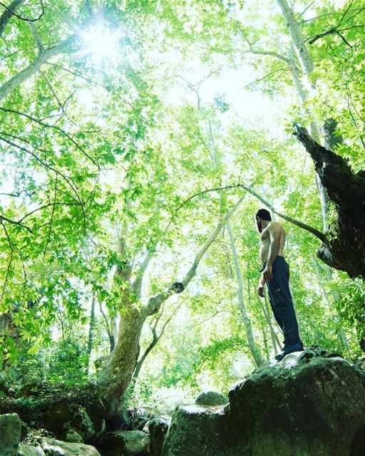 Jungle man 🐒📷: @elianehajj (Kfarhilda, North)