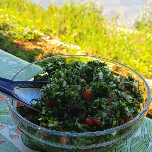 Just a big bowl of tabbouleh (the classic one, none of that quinoa stuff),... (Kfar2atra Chouf)