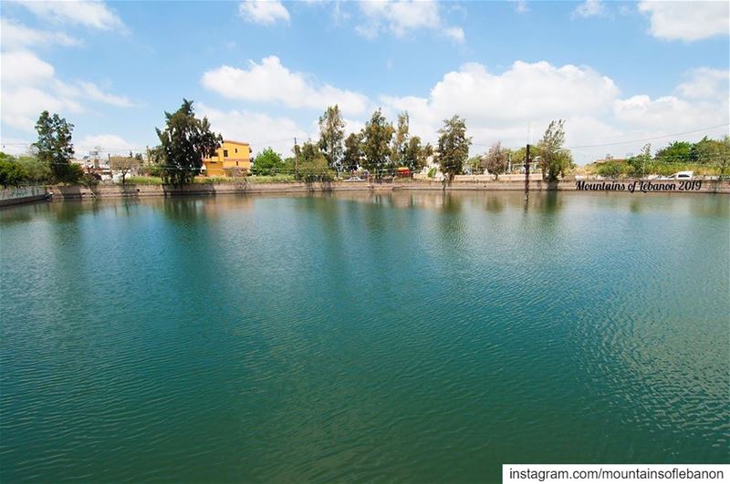 Just a lake/pond in the middle of town! (Yiii comme à Zaghrour)😏... (Shaqra, Al Janub, Lebanon)