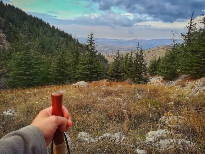 Just a random hiker perspective 🌲⛰️... (Chouf)