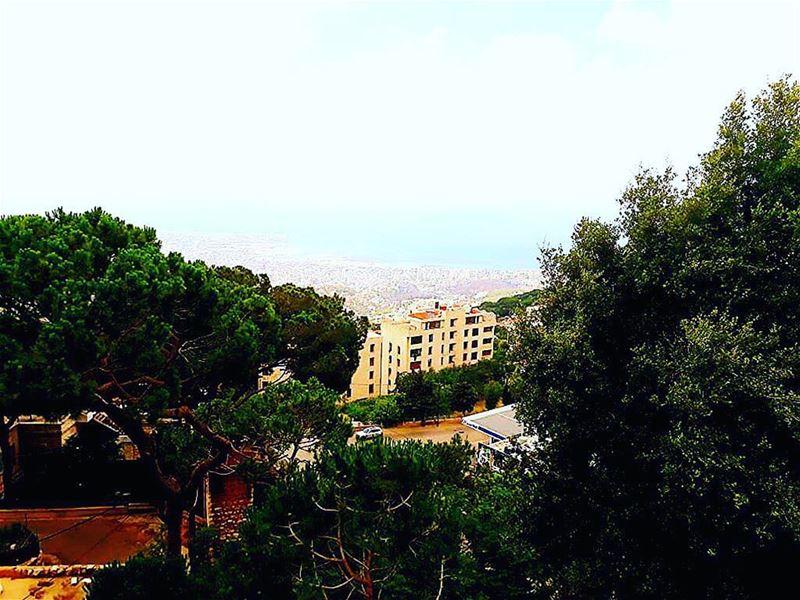 Just a tree base where you can see all jounieh !!!.Photo by @am__.asmar ❤