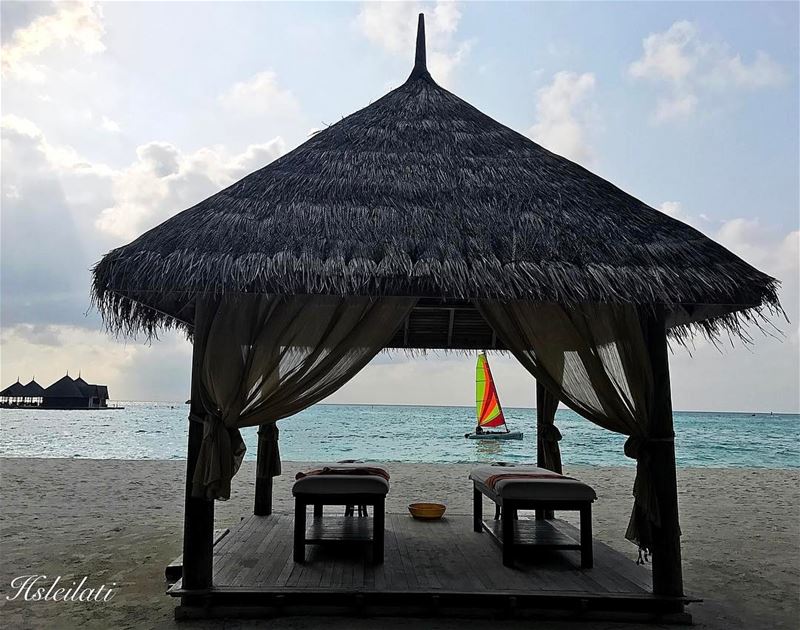 Just another day in paradise ❤️🐬🐳 insta_lebanon whatsuplebanon... (Male, Maldives)