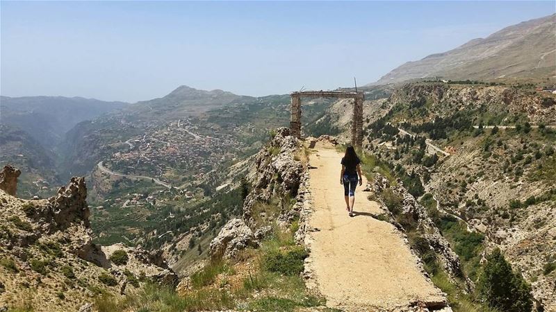 Just because her path is different doesn't mean she is lost🗻... (Cedars Of Lebanon)