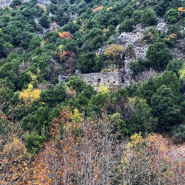 Just because it's not useful anymore, doesn't mean it's not still... (Kfardebian,Mount Lebanon,Lebanon)