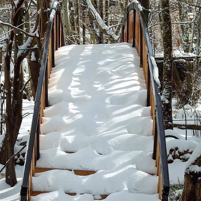Just because my path is different doesn't mean I'm lost. ❄️🌤 lebanon ... (Tannourine(municipality))