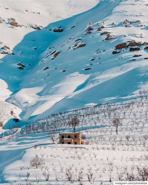 Just because there's snow on the roof doesn't mean there's not a fire... (تنورين الفوقا)