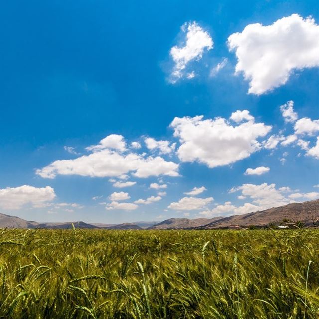 Just breathe. Beqaa Valley, Lebanon ••••• iglebanon  lebanon_ig ... (Beqaa Valley)