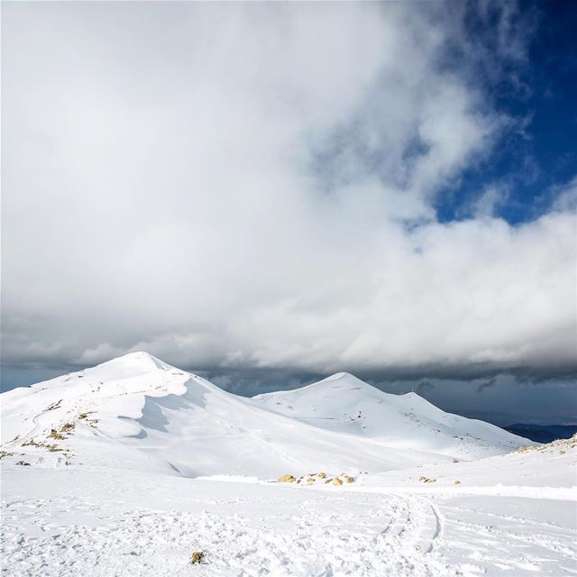 Just breathe 🏔❄️🗻 (Jered Tannourine)