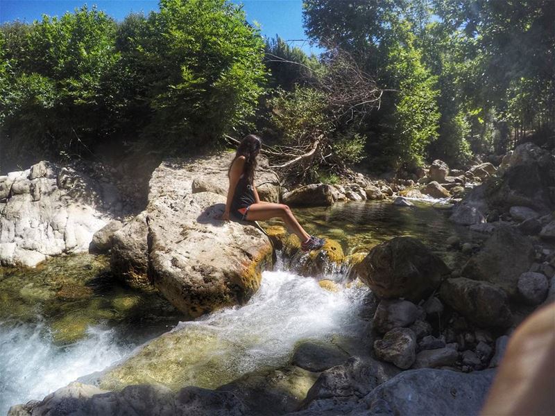 Just go with the flow 🦎 ...... river  rivercrossing  gopro ...