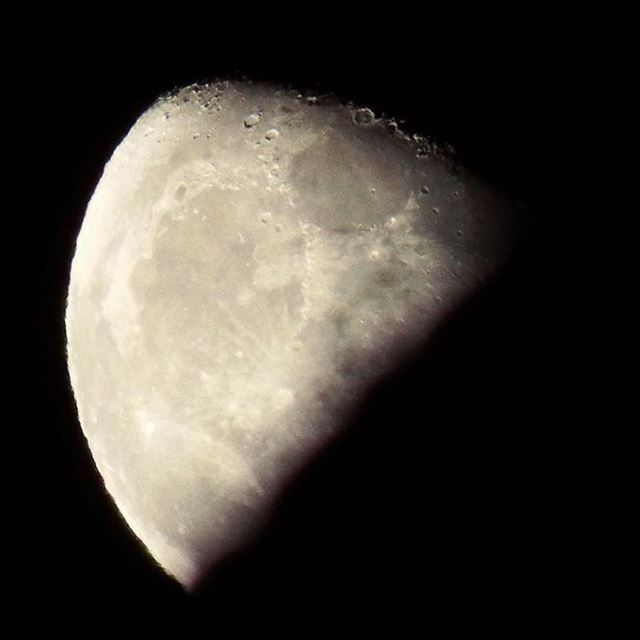 Just like the moon, i go through phases. 🌘 (Tannourine Cedars Nature Reserve)