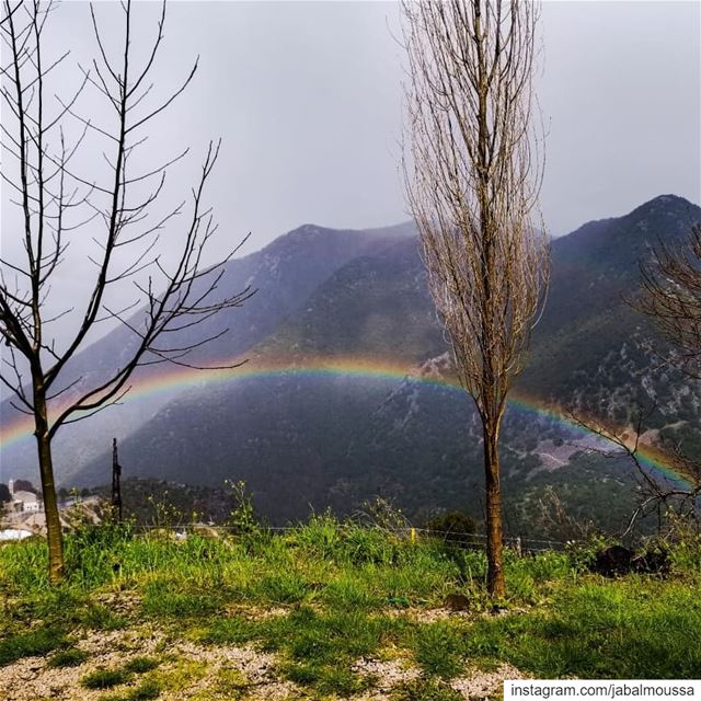 Just like the  rainbow after the rain 🌈 JabalMoussa unesco  unescomab ... (Jabal Moussa Biosphere Reserve)