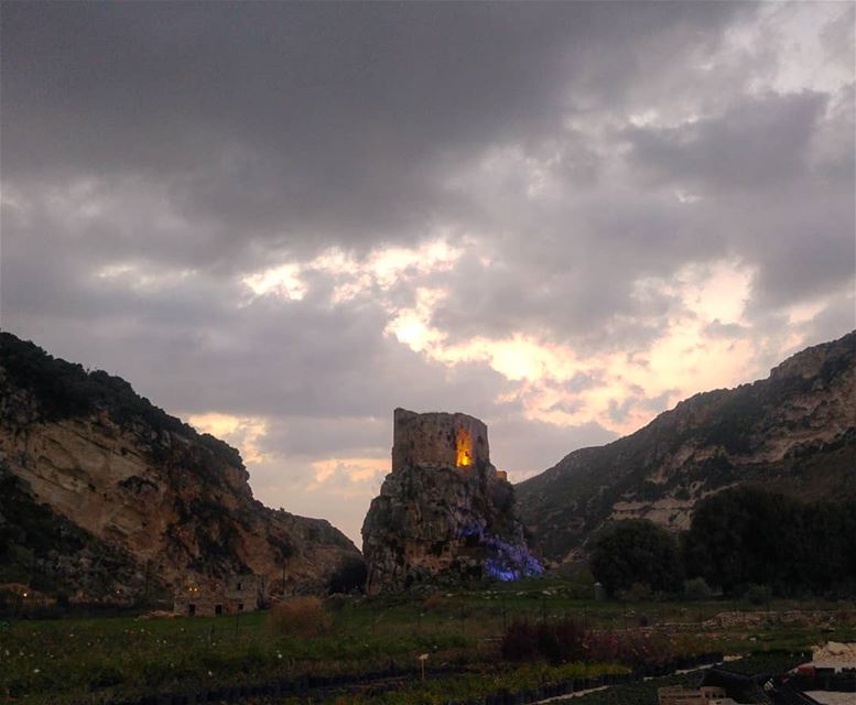 💫 Just living is not enough... one must have sunshine, freedom, and a... (Mseilha Fort)