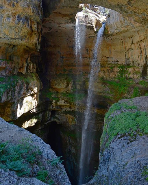 Just observe. loves_lebanon  super_lebanon   ig_lebanon  lebanonbyalocal... (Tannourine - Balou' Balaa)