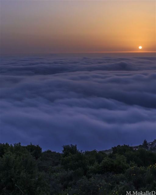 Just set back and relax 😌 live the moment. Cloud Waves passing by, 1... (Aïn Bou Souâr)