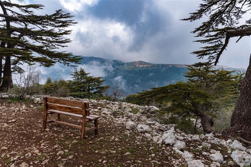 Just Sit back, Relax and Enjoy the View.... @tannourine_cedar_reserve @live