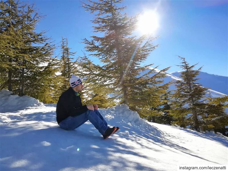 Just sitting watching some trees having breakfast 🌲☀️... (Sannin, Mont-Liban, Lebanon)