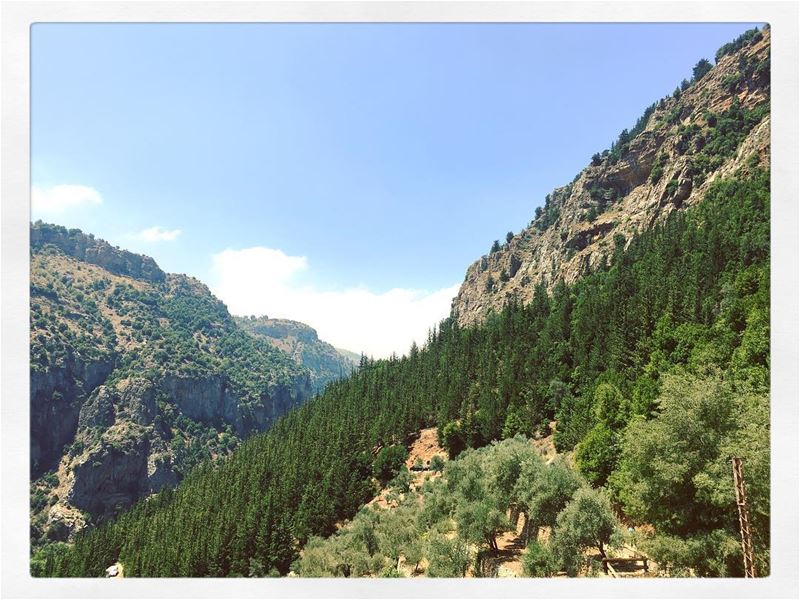 ... (Kadisha Valley)
