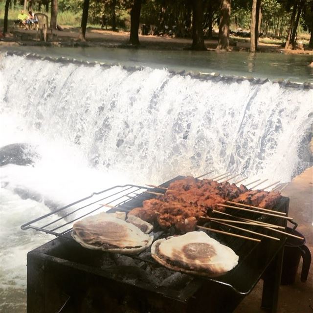 kafta bl khebez & Shish Taouk 🤤.... lebanon  vacation  familytrip ... (عيون السمك)