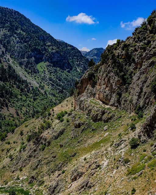 Karakorum Dreaming. I woke today remembering my travels through the... (Wadi Jhanam)