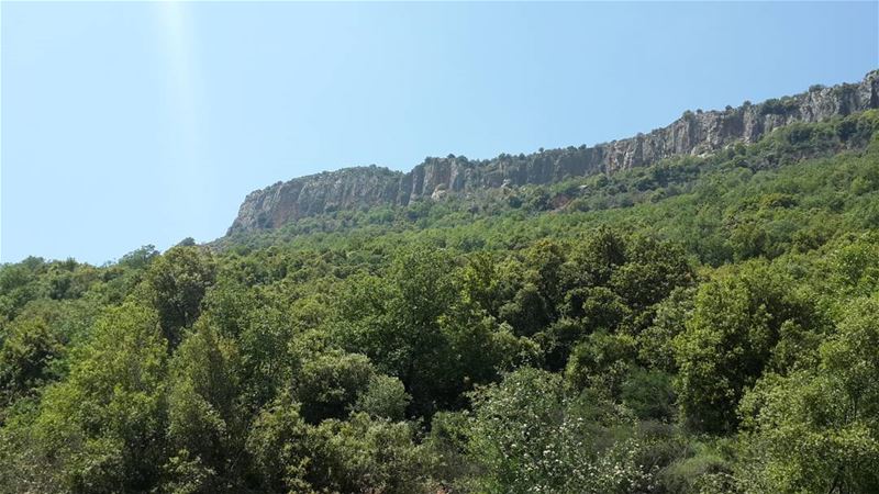 Keep close to nature's heart... And break clear away, once in a while, and... (Lebanon)