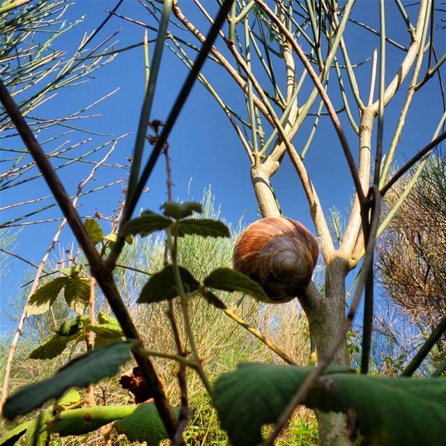 Keep close to Nature's heart.. timespentinnatureisneverwasted ... (El Qatlabé, Liban-Nord, Lebanon)