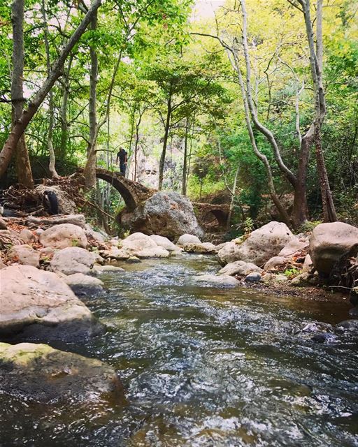 Keep walking! It's a best way to explore more 😎............... (Kadisha Valley)