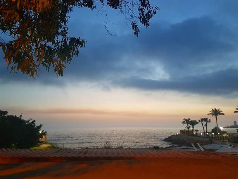 Keep your eyes on the stars, and your feet on the grounds-  Roosevelt...