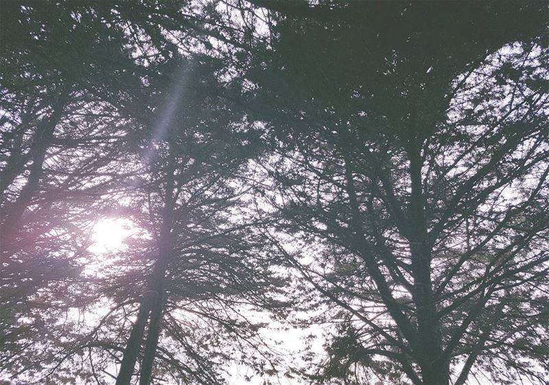 "Keep your eyes upon your path Gather your strength and come this way .I...