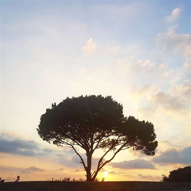 "Keep your face to the sun and you'll never see the shadows"  picoftheday...